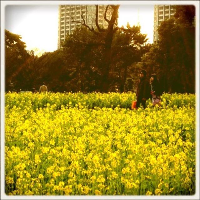 15754878_1572905489_127large