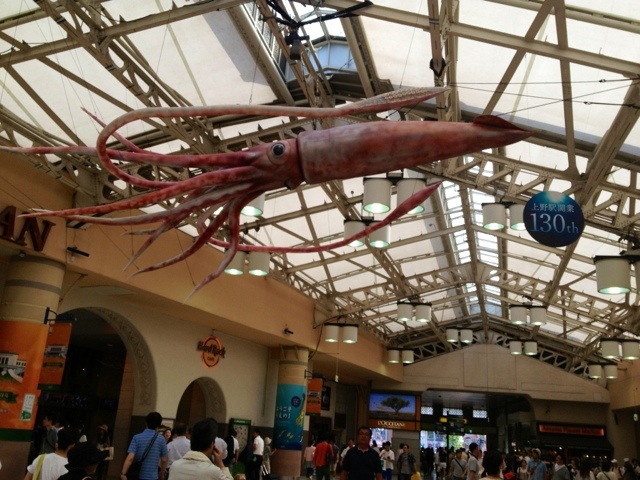 深海展＠国立科学博物館。