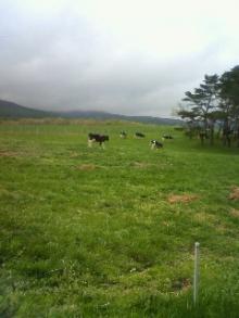 蔵王酪農センター。