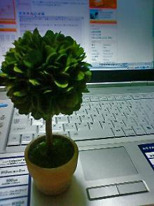 みどりちゃん。