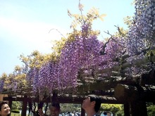 きままOLの戯言。-トーキョー日和☆