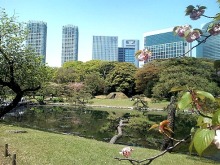 きままOLの戯言。-トーキョー日和☆