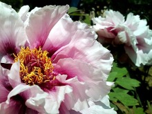 きままOLの戯言。-トーキョー日和☆