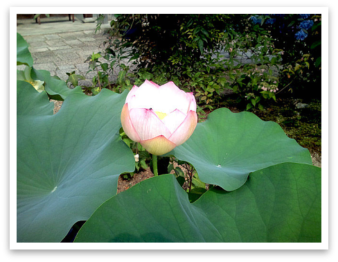 KIMAMA55☆-京都旅行。