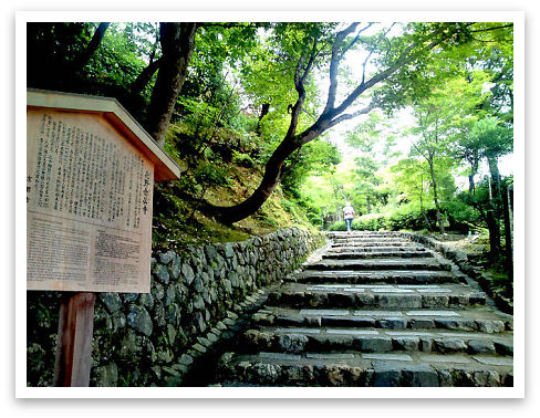 KIMAMA55☆-京都旅行。